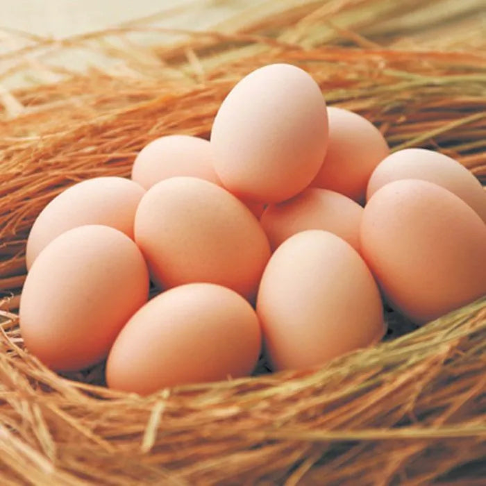 秋川牧園 秋川牧園の卵でつくったたまご村プリン 8個