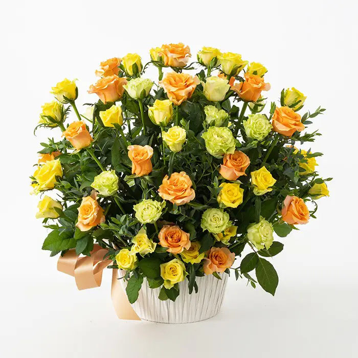 ホシファーム 薔薇の御祝アレンジメント パッション