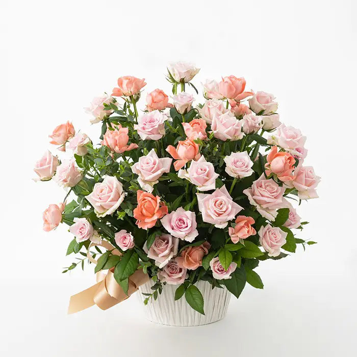 ホシファーム 薔薇の御祝アレンジメント スイート