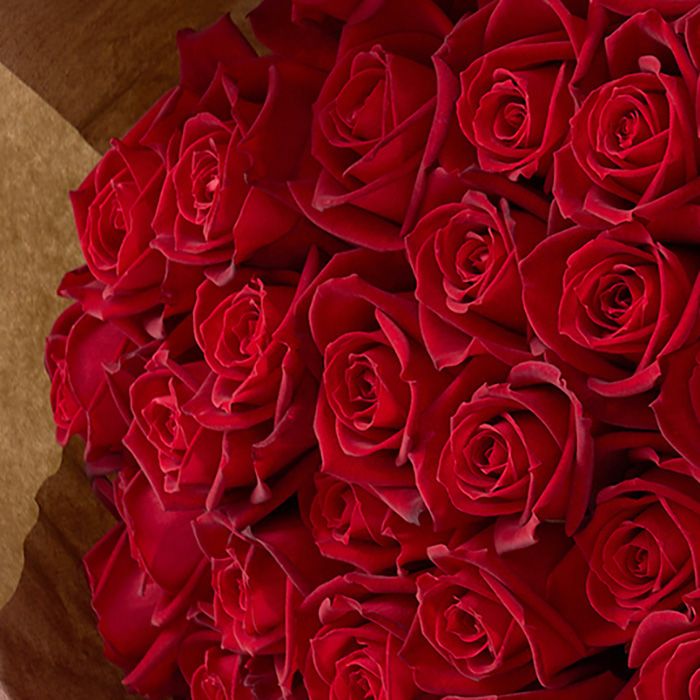 深紅のバラ サムライ60本ブーケ