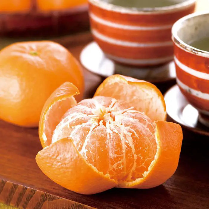 【お歳暮限定】山口大島みかん(秀)