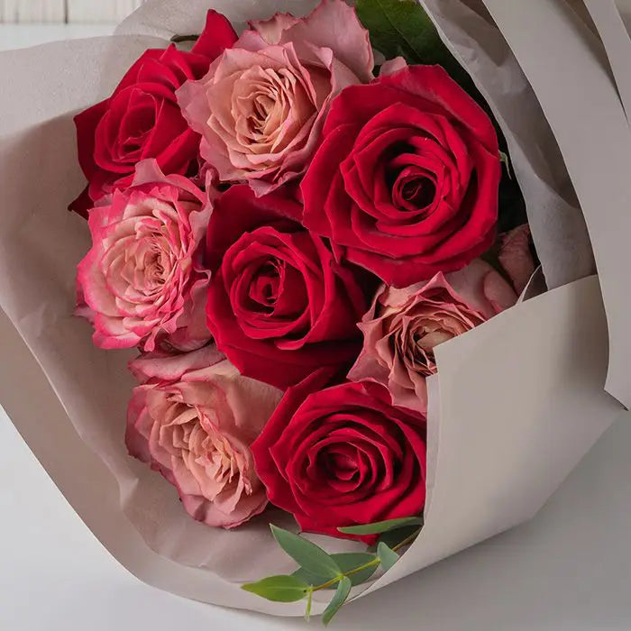 ホシファームフリルブーケ ニュアンスレッド8本&ホシフルーツ贅沢ブラウニー 9個【産地直送品・送料込み】