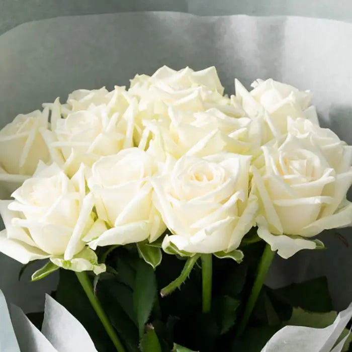 ホシファーム 届いた姿でそのまま飾れるスタンディング薔薇ブーケ ピュア12本【産地直送品・送料込み】