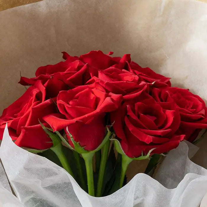 ホシファーム 届いた姿でそのまま飾れるスタンディング薔薇ブーケ ルージュ8本【産地直送品・送料込み】