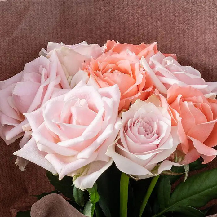 ホシファーム 届いた姿でそのまま飾れるスタンディング薔薇ブーケ スイート8本【産地直送品・送料込み】