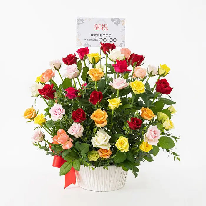 ホシファーム 薔薇の御祝アレンジメント カラフル【産地直送品・送料込み】