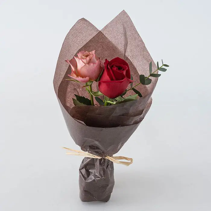 ホシファーム 薔薇のミニブーケ ニュアンスレッド2本&贅沢ブラウニー3個入【産地直送品・送料込み】