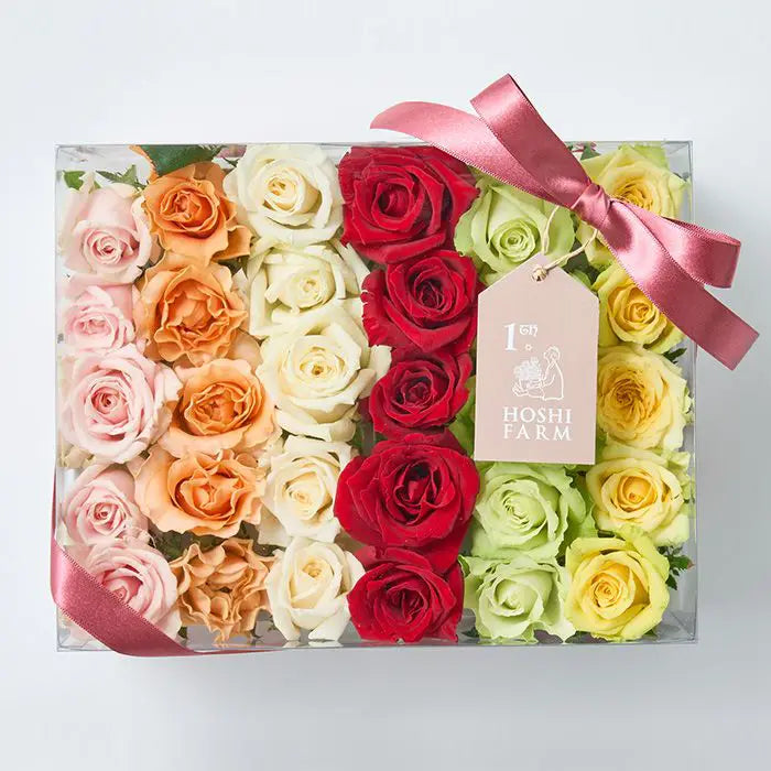 ホシファーム 生花バラ デコレーションローズ フラワーシャワー・バスフラワー【産地直送品・送料込み】