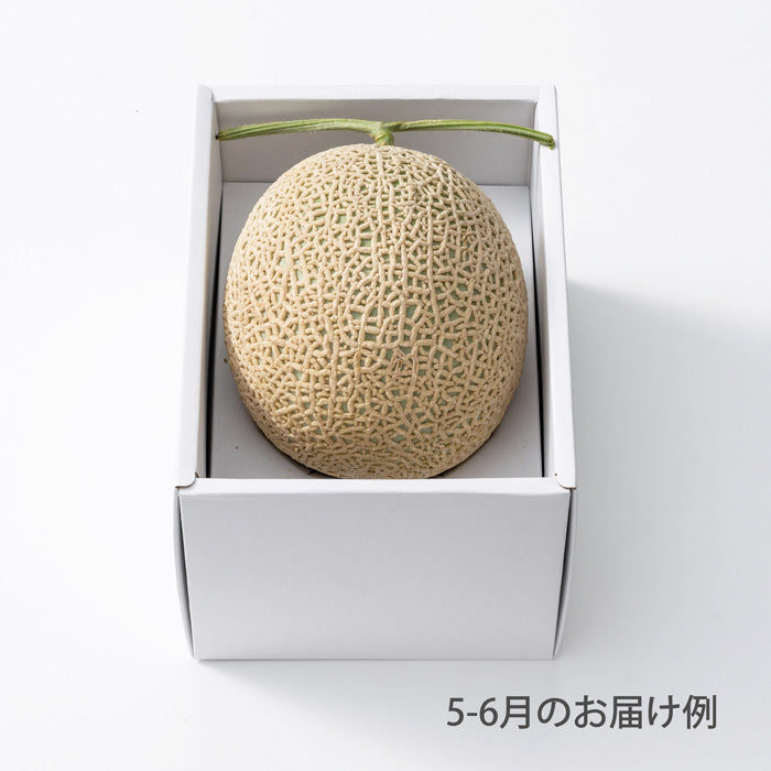 ホシフルーツ おまかせ旬のフルーツBOX AN