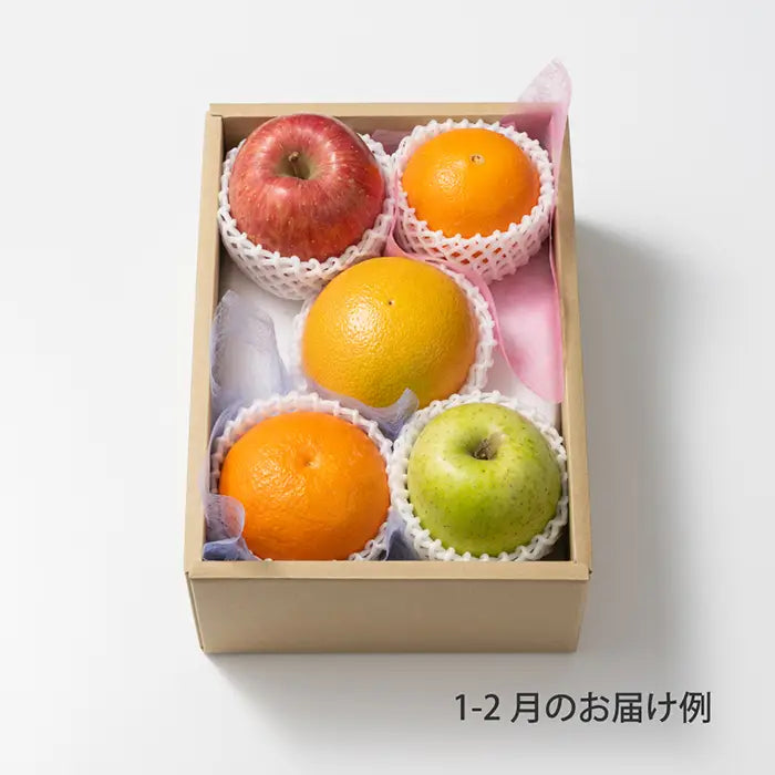 ホシフルーツ おまかせ旬のフルーツBOX A【送料込】｜お菓子