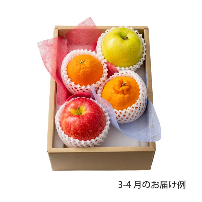 ホシフルーツ おまかせ旬のフルーツBOX A【産地直送品・送料込み】