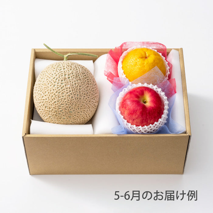 ホシフルーツ おまかせ旬のフルーツBOX B【産地直送品・送料込み】