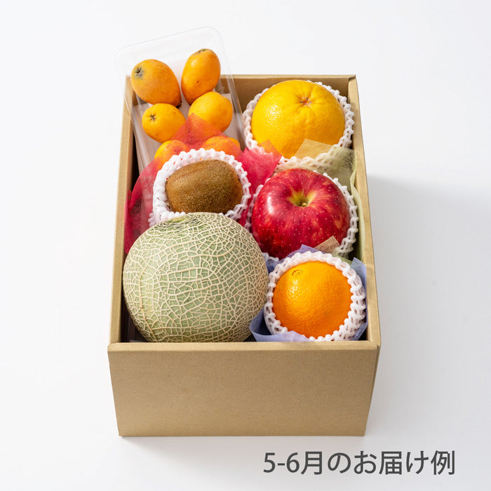 ホシフルーツ おまかせ旬のフルーツBOX C【産地直送品・送料込み】