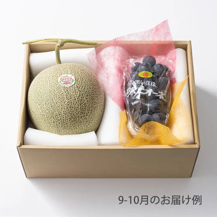 ホシフルーツ おまかせ旬のフルーツBOX C【産地直送品・送料込み】