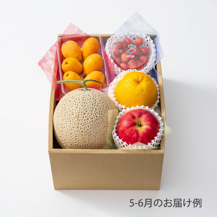 ホシフルーツ おまかせ旬のフルーツBOX D【産地直送品・送料込み】