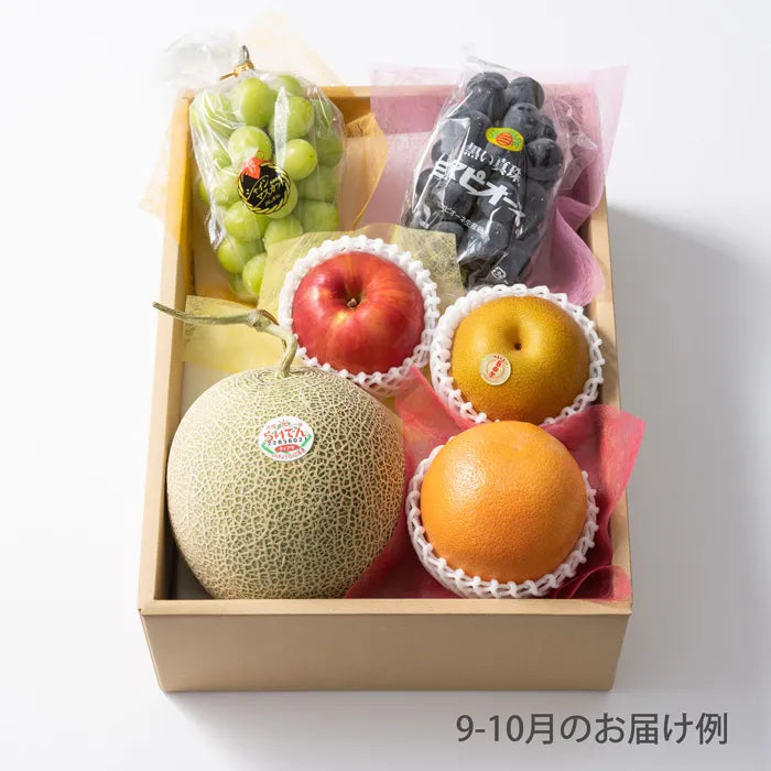 ホシフルーツ おまかせ旬のフルーツBOX DN