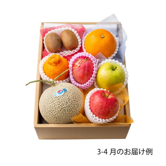 ホシフルーツ おまかせ旬のフルーツBOX D【産地直送品・送料込み】