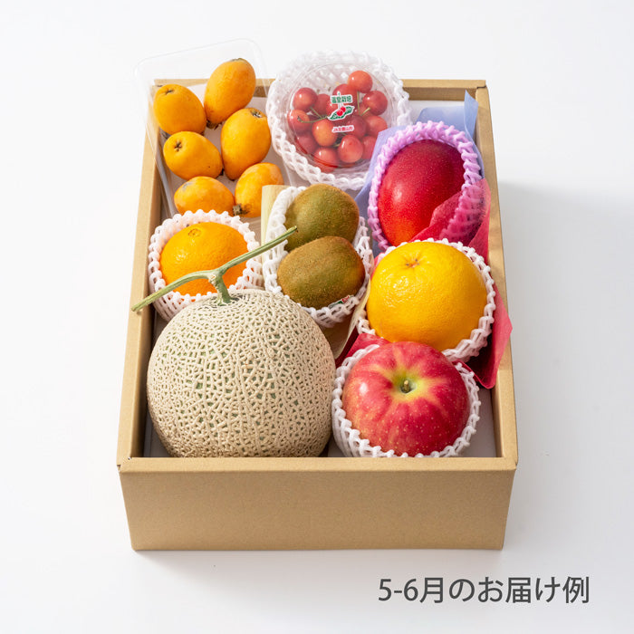 ホシフルーツ おまかせ旬のフルーツBOX E【産地直送品・送料込み】