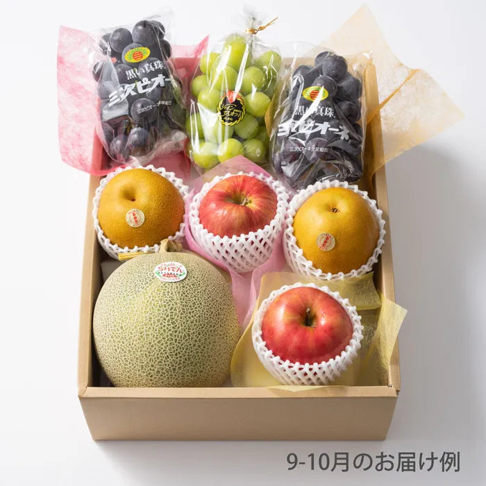 ホシフルーツ おまかせ旬のフルーツBOX E【産地直送品・送料込み】