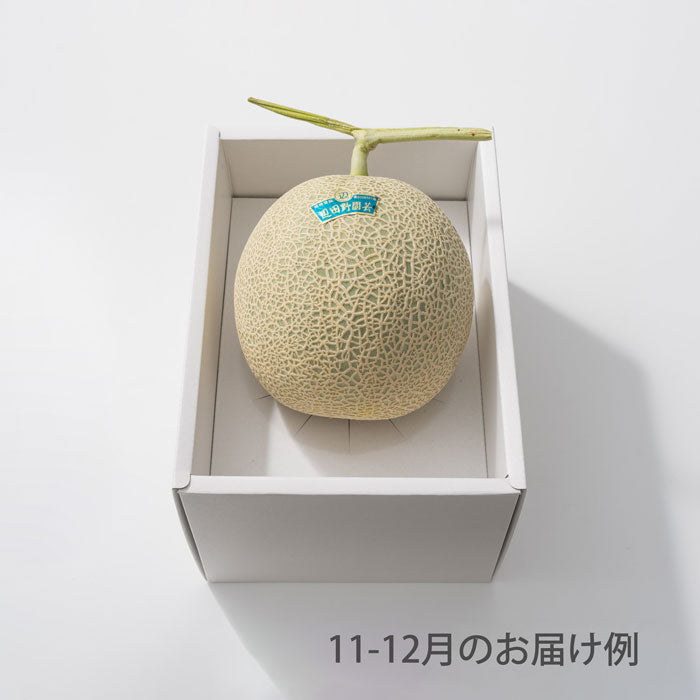 ホシフルーツ おまかせ旬のフルーツBOX A【産地直送品・送料込み】