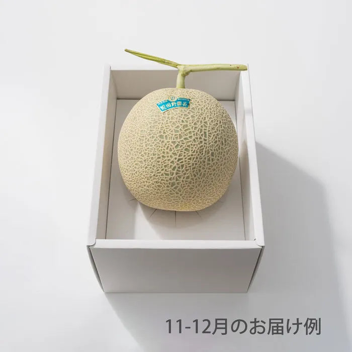 ホシフルーツ おまかせ旬のフルーツBOX A【産地直送品・送料込み】