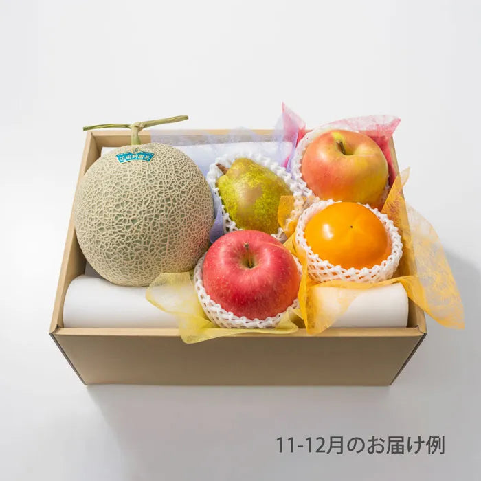 ホシフルーツ おまかせ旬のフルーツBOX C【産地直送品・送料込み】