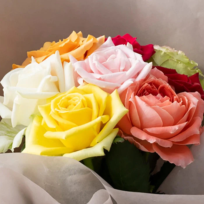 ホシファーム 届いた姿でそのまま飾れるスタンディング薔薇ブーケ カラフル8本