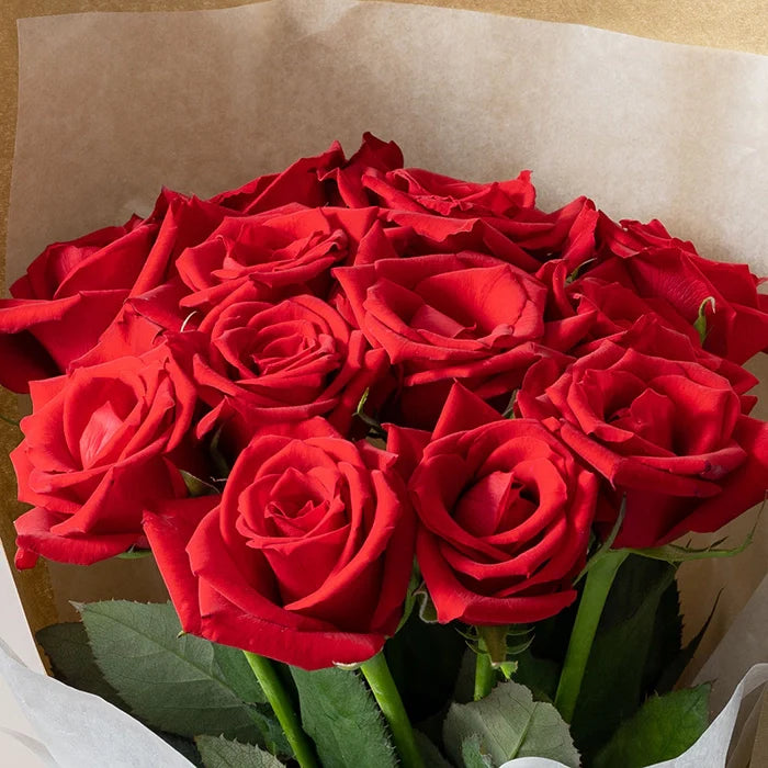 ホシファーム 届いた姿でそのまま飾れるスタンディング薔薇ブーケ ルージュ12本