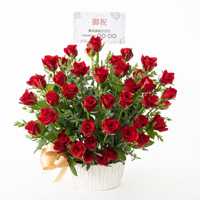 ホシファーム 薔薇の御祝アレンジメント ルージュ