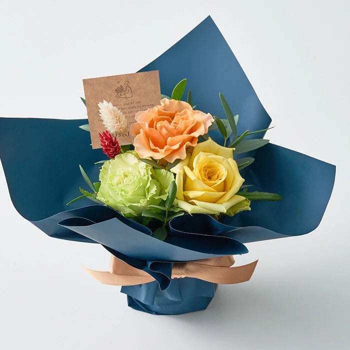 ホシファーム ミニアレンジメントパッション&ホシフルーツ贅沢ブラウニー3個