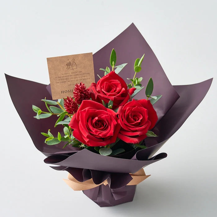 ホシファーム ミニアレンジメントルージュ&ホシフルーツ贅沢ブラウニー3個