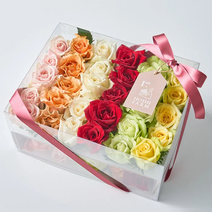 ホシファーム 生花バラ デコレーションローズ フラワーシャワー・バスフラワー