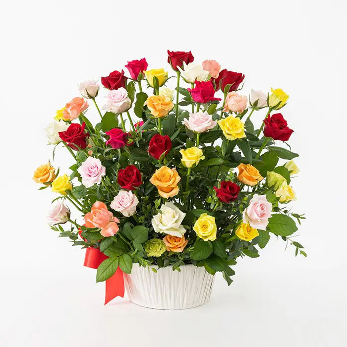 ホシファーム　薔薇の御祝アレンジメント　カラフル