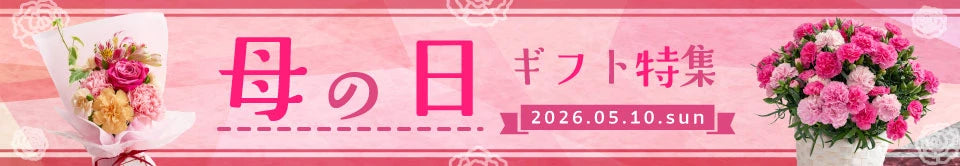 母の日ギフト
