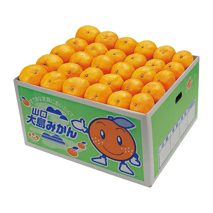 【お歳暮限定】山口大島みかん（秀）