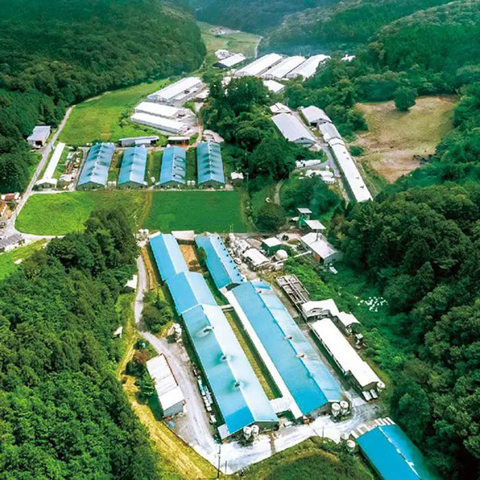 【お歳暮限定】鹿野高原牧場ハムギフト