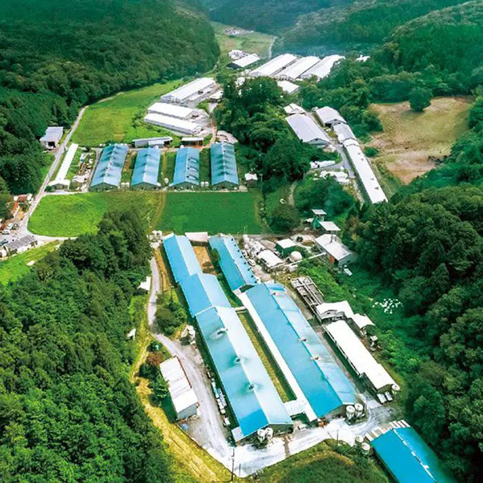 【お歳暮限定】鹿野高原牧場ハムギフト