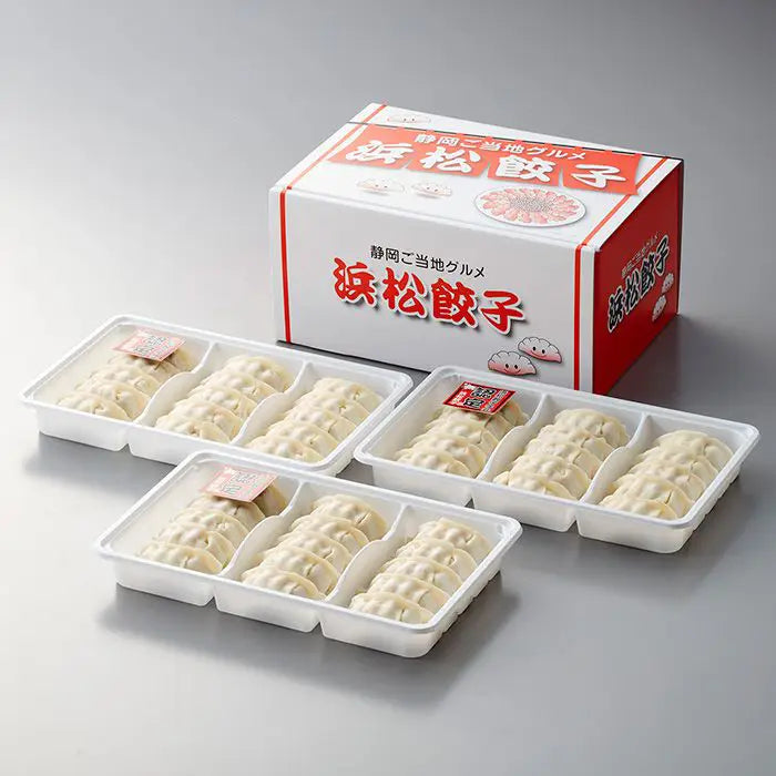 【お歳暮限定】静岡Ｂ級グルメ浜松餃子４５粒