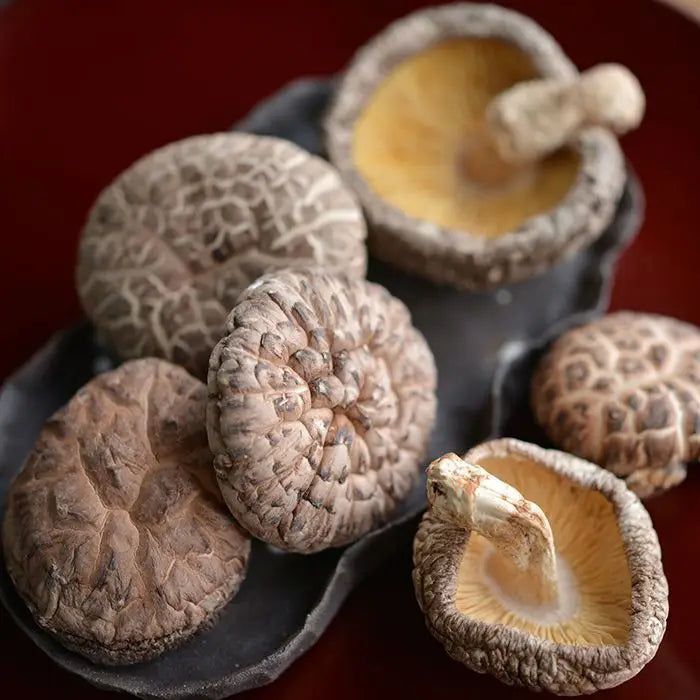 【お歳暮限定】宮崎県産どんこ椎茸