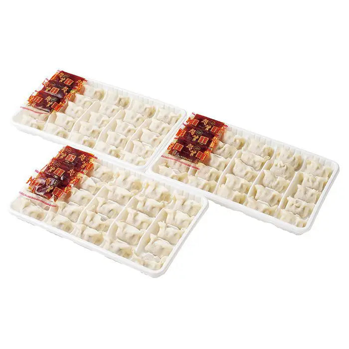 【お中元限定・送料無料】博多一口餃子