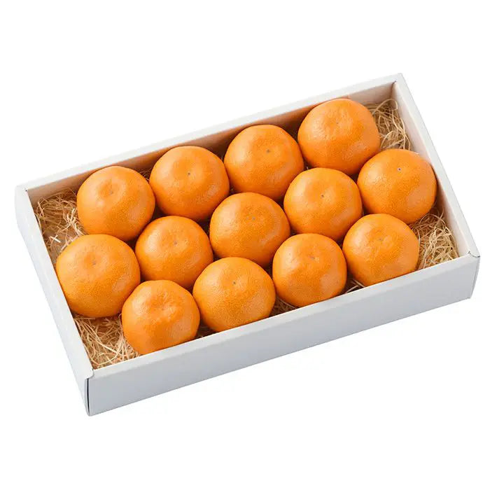 【お中元限定・送料無料】ハウスみかん［１．１ｋｇ］