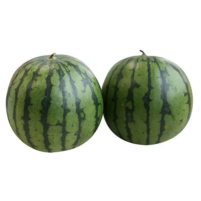 【お中元限定・送料無料】山形県尾花沢産　小玉すいか［２玉］