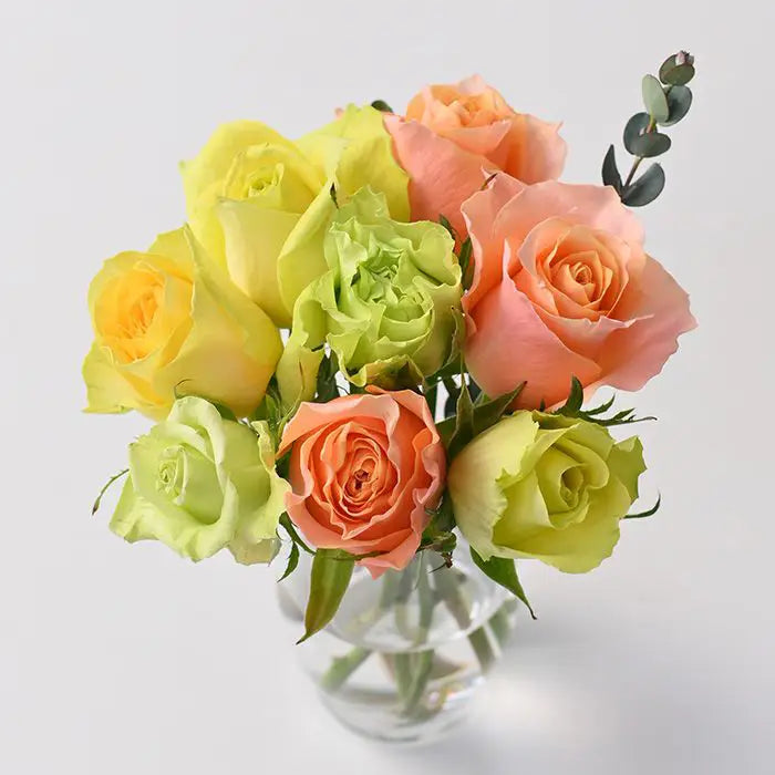 ホシファーム　フリルブーケパッション８本　＆　ホシフルーツ　贅沢ブラウニー９個【産地直送品・送料込み】