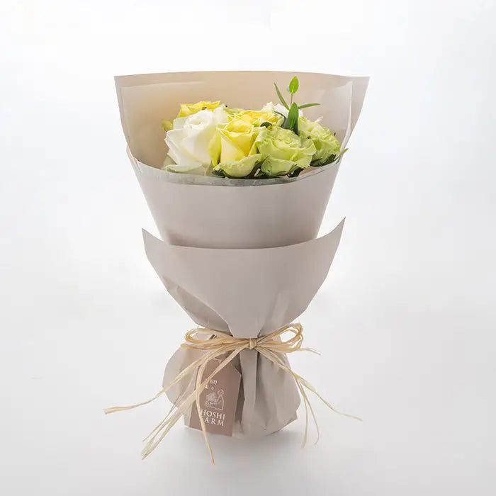 ホシファームフリルホワイトイエローグリーン８本＆ホシフルーツ贅沢ブラウニー　９個【産地直送品・送料込み】