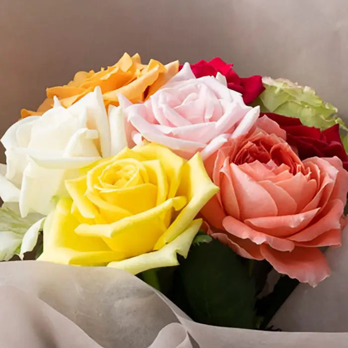 ホシファーム　届いた姿でそのまま飾れるスタンディング薔薇ブーケ　カラフル８本【産地直送品・送料込み】