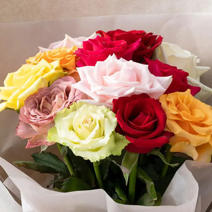 ホシファーム　届いた姿でそのまま飾れるスタンディング薔薇ブーケ　カラフル１２本【産地直送品・送料込み】