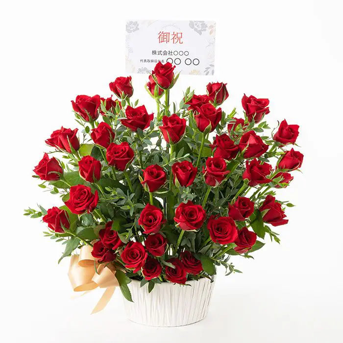 ホシファーム　薔薇の御祝アレンジメント　ルージュ【産地直送品・送料込み】