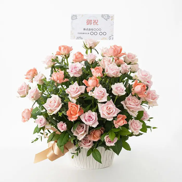 ホシファーム　薔薇の御祝アレンジメント　スイート【産地直送品・送料込み】