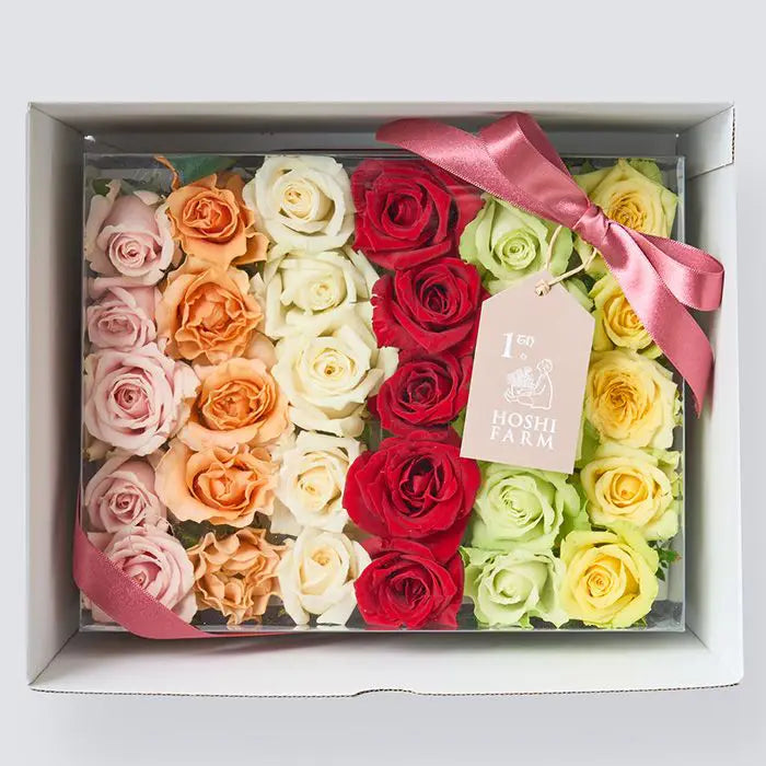 ホシファーム　生花バラ　デコレーションローズ　フラワーシャワー・バスフラワー【産地直送品・送料込み】