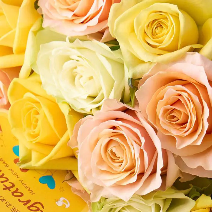 ホシファーム　ベイビーローズニコ　パッション１２本【産地直送品・送料込み】